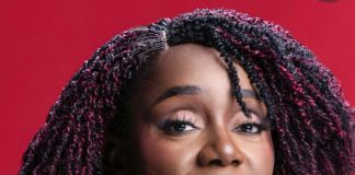 KEMI ADEOSUN BACK WITH MENTORSHIP INITIATIVE NIDACITY